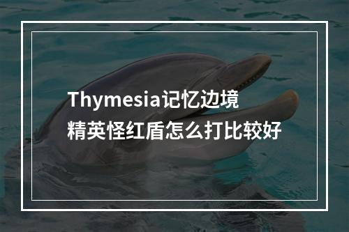 Thymesia记忆边境精英怪红盾怎么打比较好