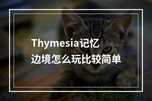 Thymesia记忆边境怎么玩比较简单