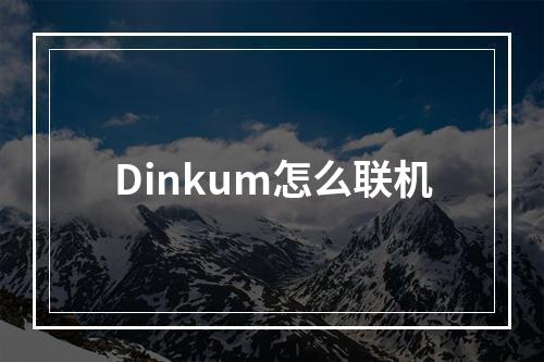 Dinkum怎么联机