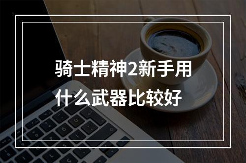 骑士精神2新手用什么武器比较好