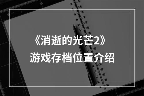 《消逝的光芒2》游戏存档位置介绍