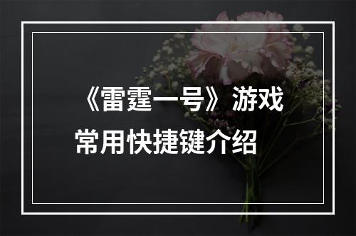 《雷霆一号》游戏常用快捷键介绍