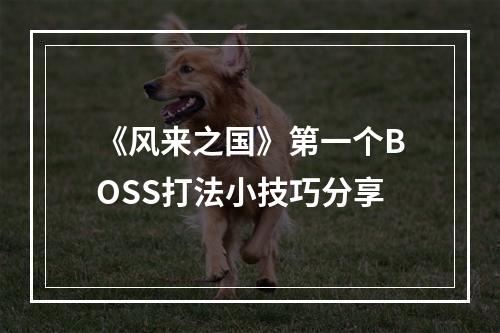 《风来之国》第一个BOSS打法小技巧分享