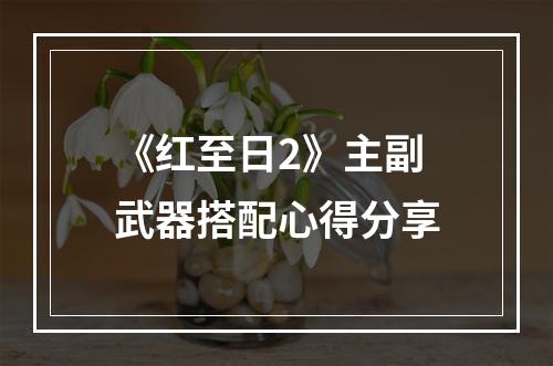 《红至日2》主副武器搭配心得分享