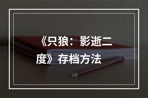 《只狼：影逝二度》存档方法