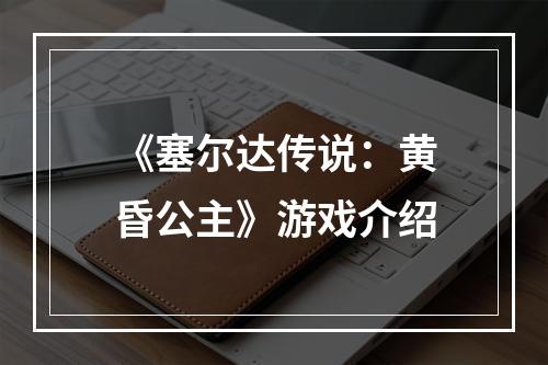 《塞尔达传说：黄昏公主》游戏介绍