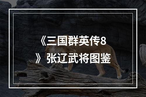 《三国群英传8》张辽武将图鉴