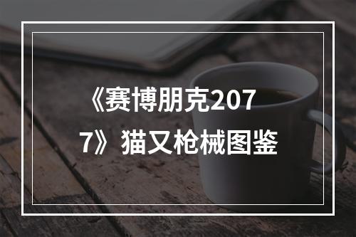 《赛博朋克2077》猫又枪械图鉴