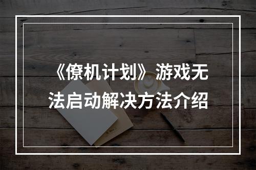 《僚机计划》游戏无法启动解决方法介绍