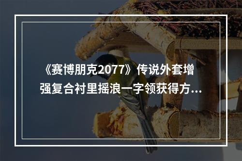 《赛博朋克2077》传说外套增强复合衬里摇浪一字领获得方法介绍