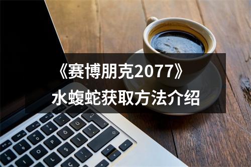 《赛博朋克2077》水蝮蛇获取方法介绍