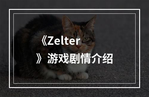 《Zelter》游戏剧情介绍