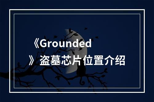 《Grounded》盗墓芯片位置介绍