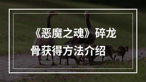 《恶魔之魂》碎龙骨获得方法介绍