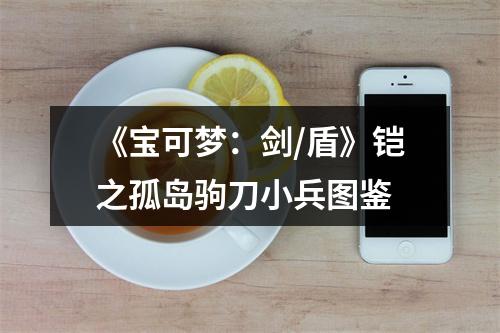 《宝可梦：剑/盾》铠之孤岛驹刀小兵图鉴