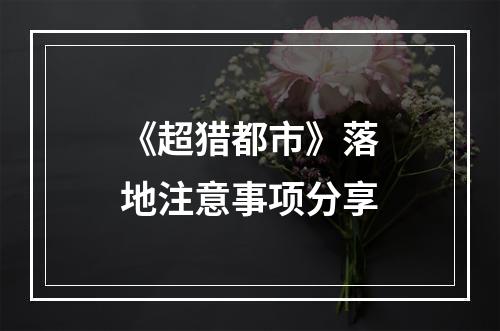 《超猎都市》落地注意事项分享