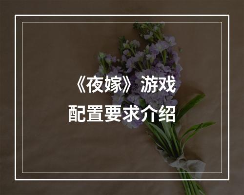 《夜嫁》游戏配置要求介绍