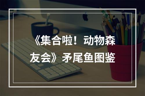 《集合啦！动物森友会》矛尾鱼图鉴