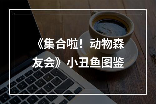 《集合啦！动物森友会》小丑鱼图鉴