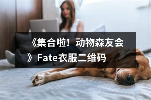 《集合啦！动物森友会》Fate衣服二维码