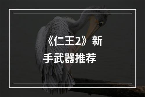 《仁王2》新手武器推荐