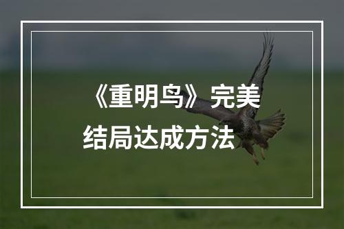 《重明鸟》完美结局达成方法