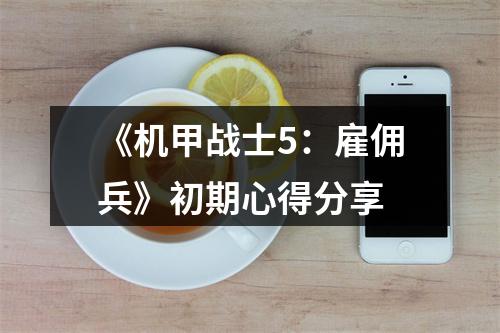 《机甲战士5：雇佣兵》初期心得分享