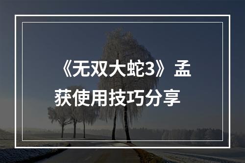 《无双大蛇3》孟获使用技巧分享