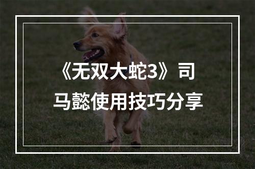 《无双大蛇3》司马懿使用技巧分享