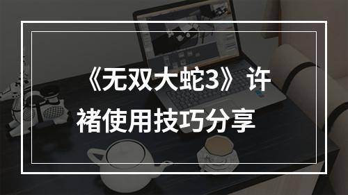 《无双大蛇3》许褚使用技巧分享