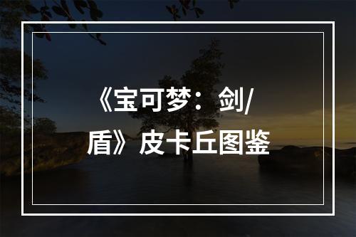 《宝可梦：剑/盾》皮卡丘图鉴