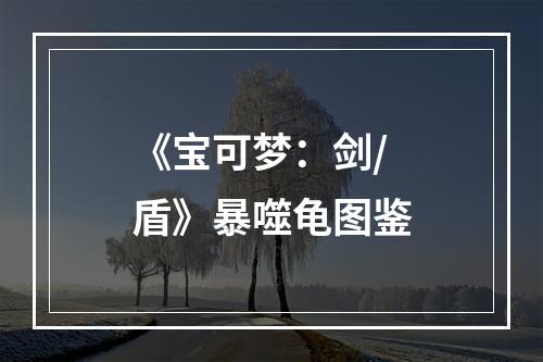 《宝可梦：剑/盾》暴噬龟图鉴