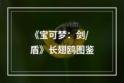 《宝可梦：剑/盾》长翅鸥图鉴