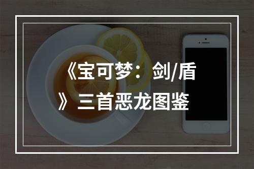 《宝可梦：剑/盾》三首恶龙图鉴