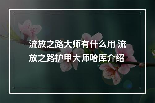 流放之路大师有什么用 流放之路护甲大师哈库介绍