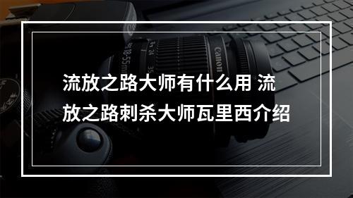 流放之路大师有什么用 流放之路刺杀大师瓦里西介绍