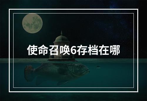 使命召唤6存档在哪