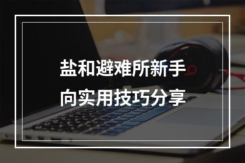 盐和避难所新手向实用技巧分享