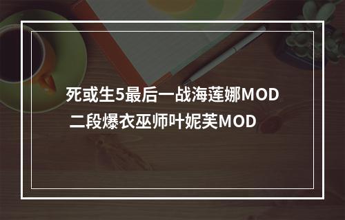 死或生5最后一战海莲娜MOD 二段爆衣巫师叶妮芙MOD