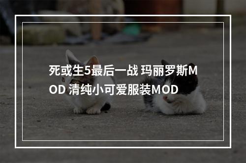 死或生5最后一战 玛丽罗斯MOD 清纯小可爱服装MOD