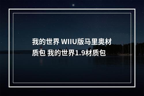 我的世界 WIIU版马里奥材质包 我的世界1.9材质包