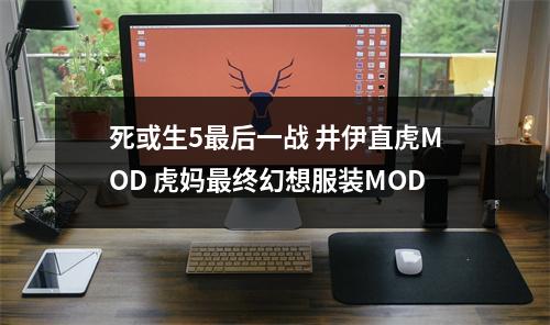 死或生5最后一战 井伊直虎MOD 虎妈最终幻想服装MOD