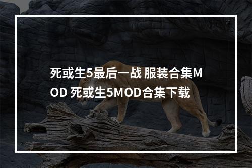 死或生5最后一战 服装合集MOD 死或生5MOD合集下载