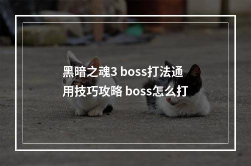 黑暗之魂3 boss打法通用技巧攻略 boss怎么打