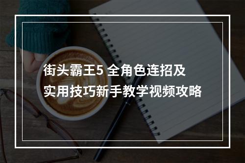 街头霸王5 全角色连招及实用技巧新手教学视频攻略