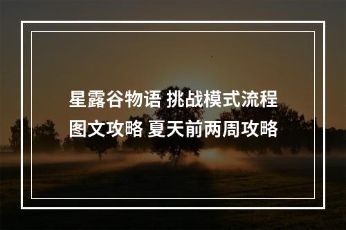 星露谷物语 挑战模式流程图文攻略 夏天前两周攻略