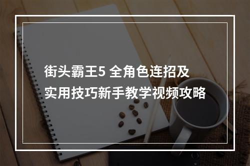 街头霸王5 全角色连招及实用技巧新手教学视频攻略