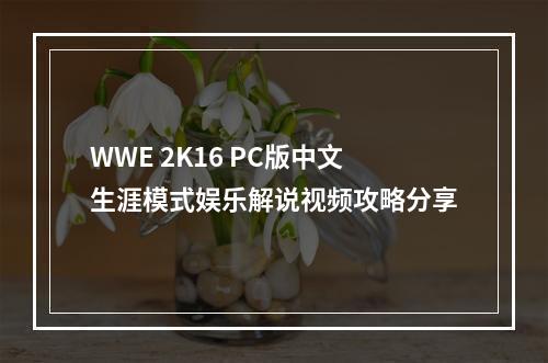 WWE 2K16 PC版中文生涯模式娱乐解说视频攻略分享