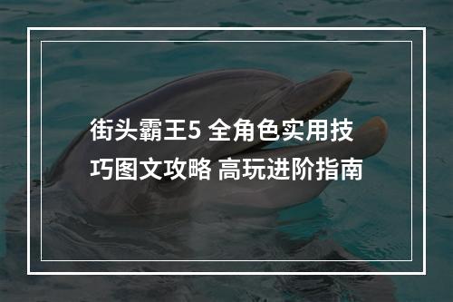 街头霸王5 全角色实用技巧图文攻略 高玩进阶指南