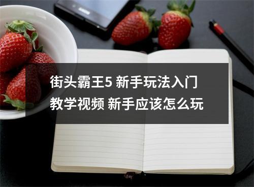 街头霸王5 新手玩法入门教学视频 新手应该怎么玩